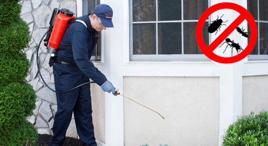 Burdur Bit İlaçlama böcek ilaçlama ve haşere kontrolü — ilaclama-tr.com